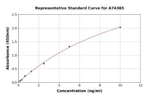 Representative standard curve for Human Caspr2/CNTNAP2 ELISA kit (A74365)