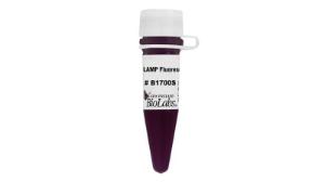 Lamp fluorescent dye B1700S