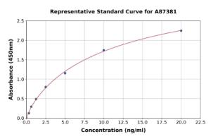 Representative standard curve for Human IRS1 ELISA kit (A87381)