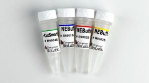 NEBuffer™ set B7030S