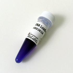 RNA Loading Dye (2x) - 4.0 ml