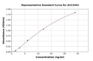 Representative standard curve for human IL-23R ELISA kit (A313343)