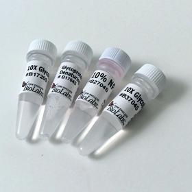 Endoglycosidase Reaction Buffer Pack - 4.0 ml