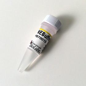 NEBuffer 1 - 5.0 ml