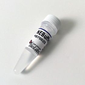 NEBuffer 2 - 5.0 ml