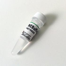NEBuffer 4 - 5.0 ml