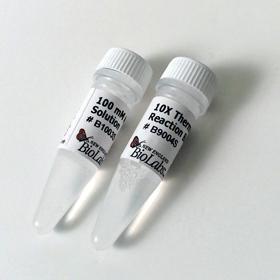 ThermoPol Reaction Buffer Pack - 6.0 ml