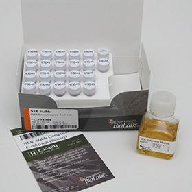 NEB Stable Competent E.coli (High Efficiency) - 20x0.05 ml