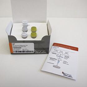 Q5 Site-Directed Mutagenesis Kit (Without Competent Cells) - 10 rxns