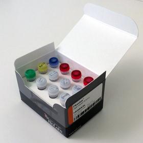 Phusion High-Fidelity PCR Kit - 200 rxns (50 µl vol)