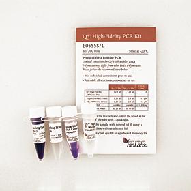Q5 High-Fidelity PCR Kit - 200 rxns