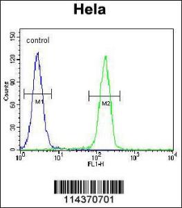 Flow cytometric analysis of Hela cells (right histogram) compared to a negative control cell (left histogram) FITC-conjugated goat-anti-rabbit secondary antibodies were used for the analysis