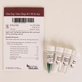 OneTaq One-Step RT-PCR Kit - 30 rxns