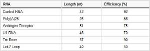 Pierce™ RNA 3' End Desthiobiotinylation Kit, Thermo Scientific