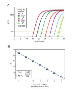 Two-step RT-qPCR with high reproducibility, sensitivity, and broad dynamic range<br />First-strand cDNA was synthesized using qScript XLT cDNA SuperMix from varying amounts of total RNA. <br />Diluted cDNA was used for qPCR s using PerfeCta qPCR ToughMix with 0.5 X Human B2M TaqMan; Endogenous Control Assay.