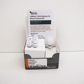 NEBNext rRNA Depletion Kit (Human/Mouse/Rat) - 24 rxns