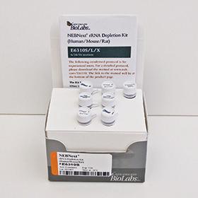NEBNext rRNA Depletion Kit (Human/Mouse/Rat) - 6 rxns