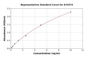 Representative standard curve for Human CYP24A1 ELISA kit (A74374)