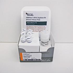 NEBNext rRNA Depletion Kit (Human/Mouse/Rat) - 96 rxns