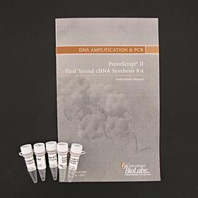 ProtoScript II First Strand cDNA Synthesis Kit - 150 rxns