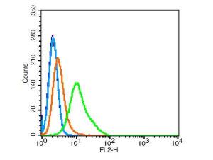 Hela cells probed with Giantin/GM130 Polyclonal Antibody, Unconjugated (bs-13356R)  at 1:100 for 30 minutes followed by incubation with a conjugated secondary (PE Conjugated)  (green) for 30 minutes compared to control cells (blue), secondary only (light blue) and isotype control (orange).