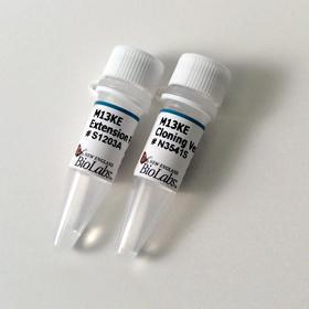 Ph.D. Peptide Display Cloning System - 20 µg