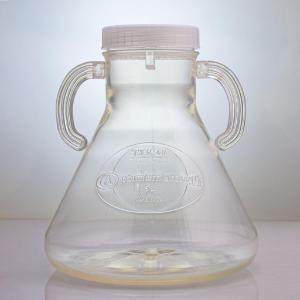 Double bagged flask