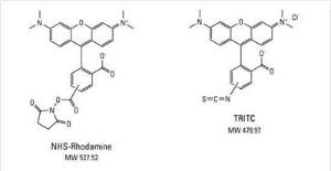 5(6)-Carboxytetramethylrhodamine succinimidyl ester [5(6)-TAMRA SE] mixture of isomers fluorescent dye, Pierce™