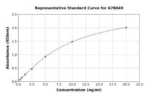 Representative standard curve for Human TBX1 ELISA kit (A78849)