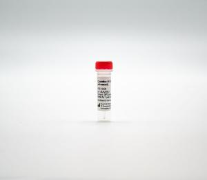 Cyanine 5-UTP (enhanced)