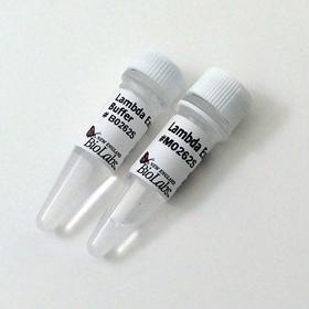 Lambda Exonuclease - 1,000 units