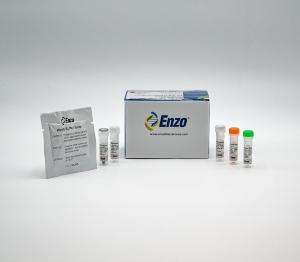 ROS-ID® total ROS/superoxide detection kit