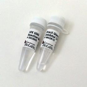 Uracil Glycosylase Inhibitor (UGI) - 200 units