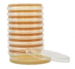 SterEM™ Tryptic Soy Agar (TSA) with Lecithin and Tween® 80, USP, Irradiated, Triple Bagged