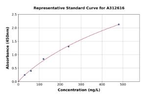 Representative standard curve for Human STX11 ELISA kit (A312616)