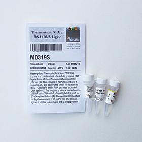 Thermostable 5' App DNA/RNA Ligase - 10 rxns