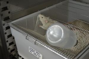 Animal Rearing Chambers, Caron Products
