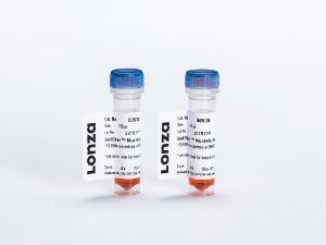 GelStar® Nucleic acid gel stain, 10,000X (2×250 µl)