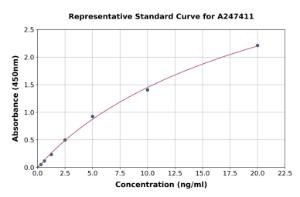 Representative standard curve for Human Glutathione Synthetase ELISA kit (A247411)