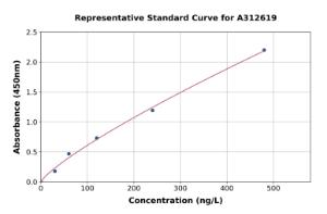 Representative standard curve for Human FGFR2 ELISA kit (A312619)