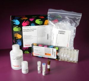 Pierce™ Active GTPase Pull-down and Detection Kit, Thermo Scientific