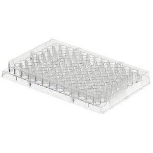 Clear flat-bottom immuno non sterile 96-well plates
