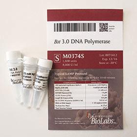 Bst 3.0 DNA Polymerase - 1,600 units