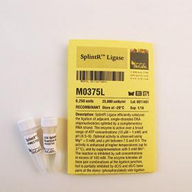 SplintR Ligase - 6,250 units