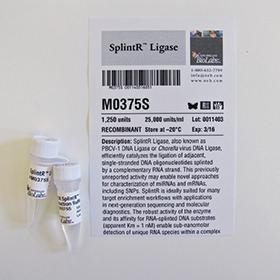 SplintR Ligase - 1,250 units