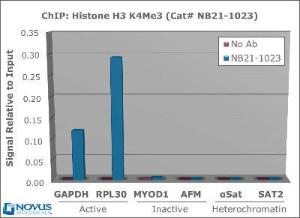 Chromata ChIP Histone H3 [ac  Lys4] Kit, Novus Biologicals (NBP1-71710)