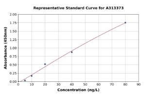 Representative standard curve for mouse CCL4/MIP-1 beta ELISA kit (A313373)