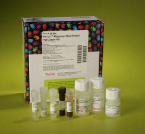Pierce™ Magnetic RNA-Protein Pull-Down Kit, Thermo Scientific