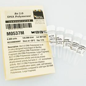 Bst 2.0 DNA Polymerase (120,000 units/ml) - 8,000 units