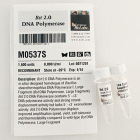 Bst 2.0 DNA Polymerase - 1,600 units